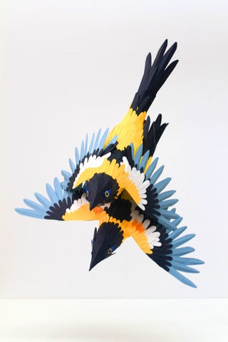 These lovely paper birds will make you feel at peace with the world