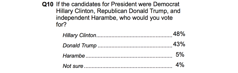 Poll: Five Percent of Americans Would Vote Harambe the Dead Ape for President