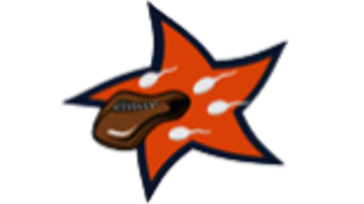 A Nation Of Echo Chambers: How The Internet Closed Off The World