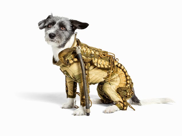 Get Your Bids in Now for a Cool Soviet Surplus Dog Spacesuit