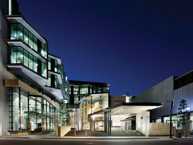 Best Mom Ever Steals Over 500 Video Games for Her Children