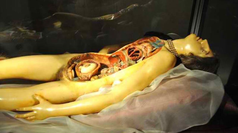 The Gore and Ecstasy of the 19th Century Wax Woman