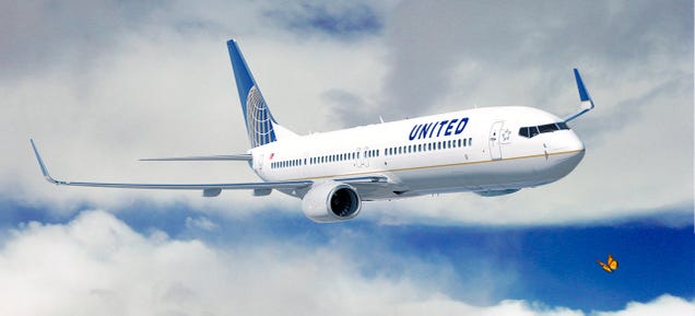 United Is Using Its Planes To Track Butterflies and Birds From Above