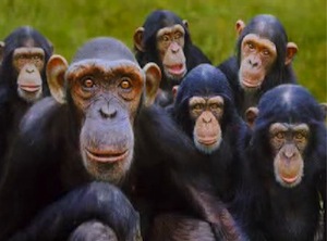 The Least Important Writers of 2013