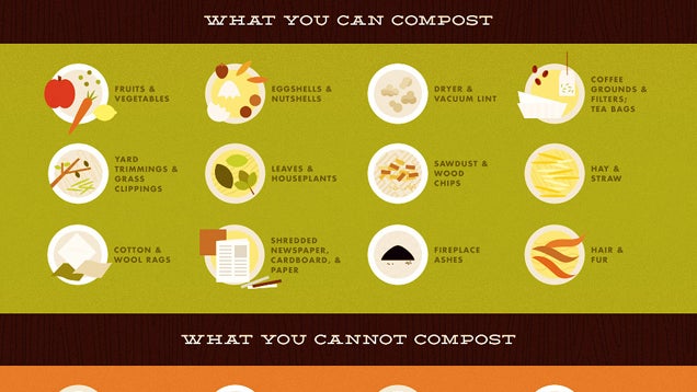 This Infographic Shows What You Can (and Can't) Turn Into Compost