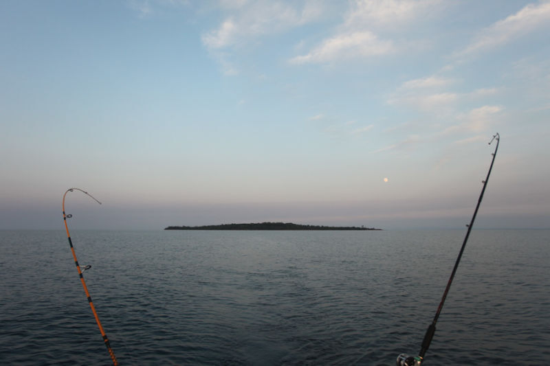 Nerd Island: Could Reddit Users Create a Real-Life Oasis?