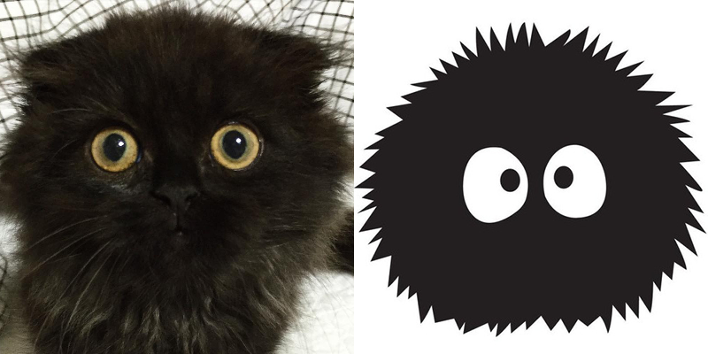 Cat Looks Just Like a Studio Ghibli Character
