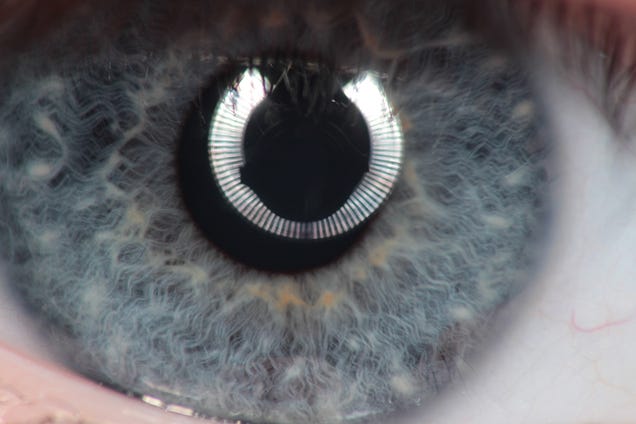 13 Images Reflected In Someone's Eye