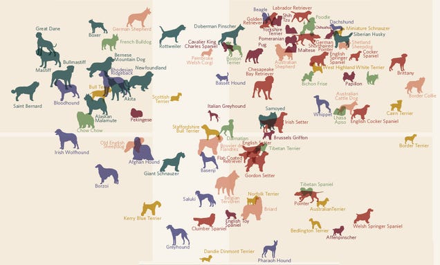 Dog breeds ranked: Who is the best, smartest doggie?