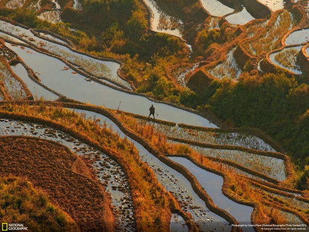 The best pictures from National Geographic's Photo Contest 2014