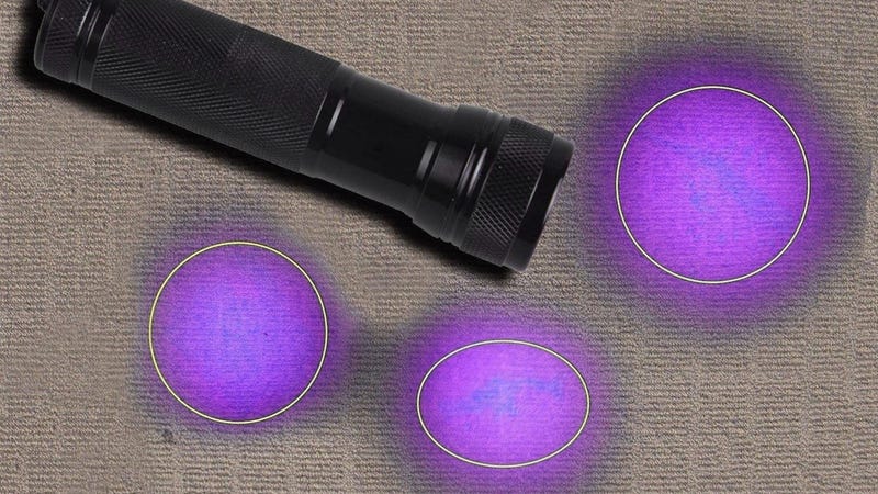 Today's Best Deals: Dremels, Dash Buttons, Wake-Up Lights, and More