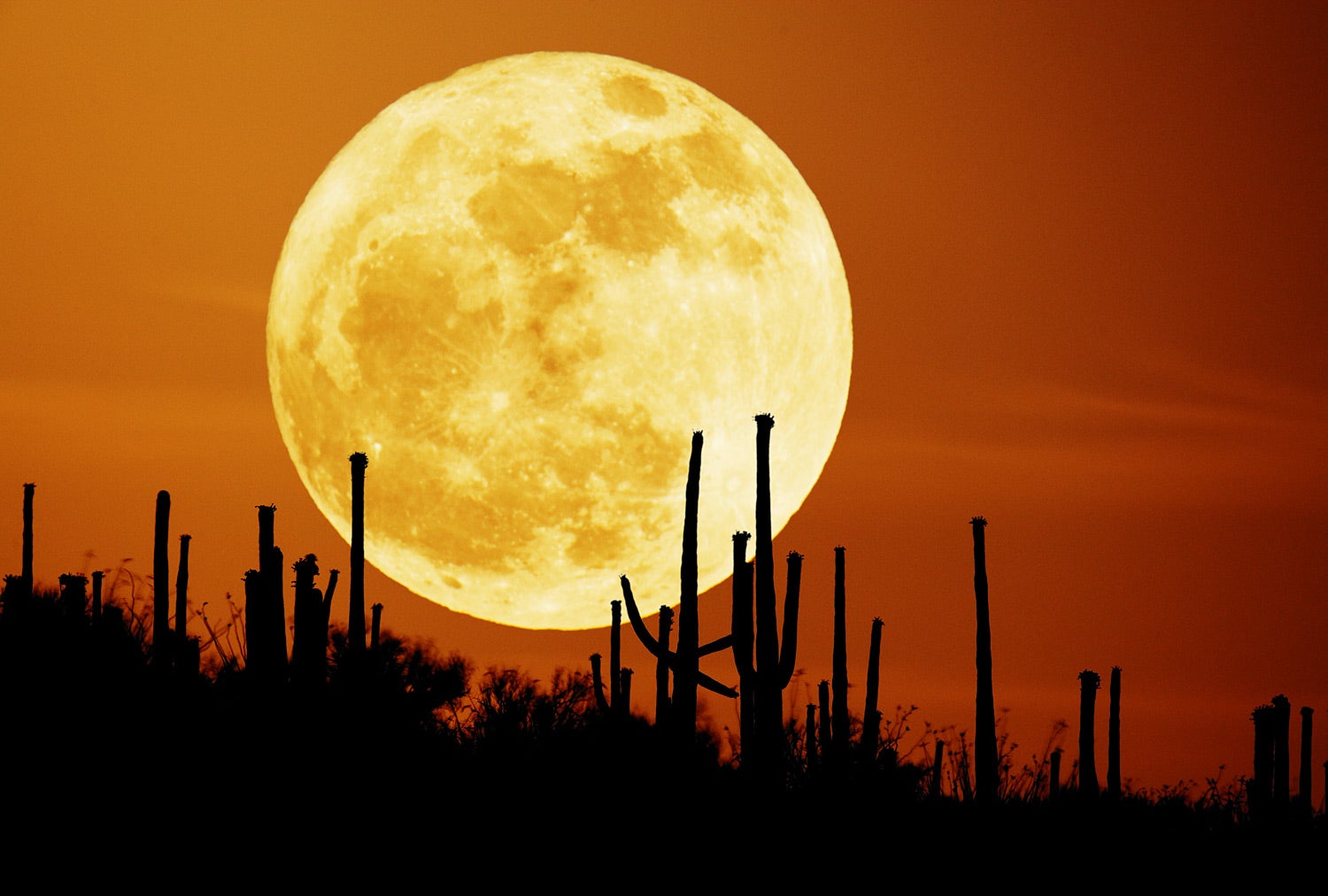 How to Watch the Super Harvest Moon Twilight Show Today