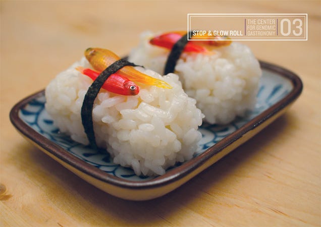 Use transgenic fish to make bioluminescent sushi rolls
