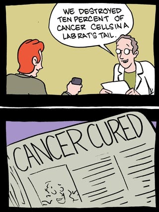 Everything that Cures or Prevents Cancer (According to the Media)