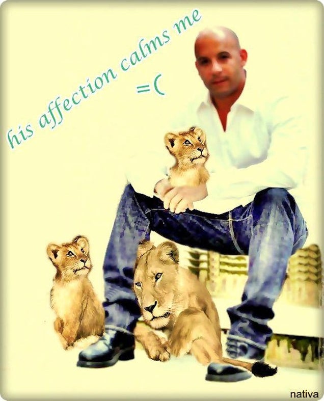 Vin Book: The Best of Vin Diesel's Amazing Facebook Fan Art