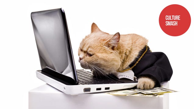If Cats Watched Porn, I Guess They'd Watch This