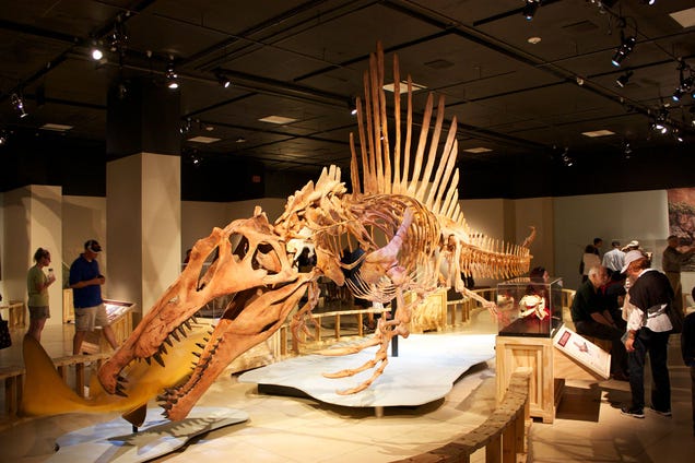 10 mitos sobre los dinosaurios que son completamente falsos