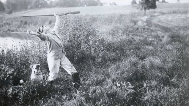 Freakish, Century-Old "Tall Tale Postcards" Were the 'Shops of Their Day
