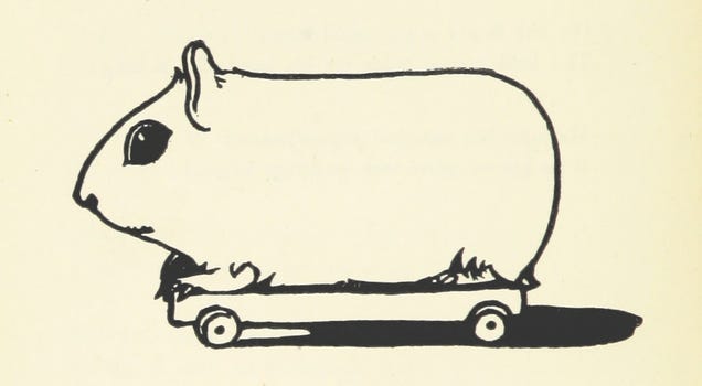 Here's a Drawing of a Guinea Pig on a Skateboard From 1899