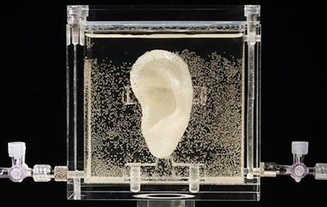 German Museum Lets You Talk to van Gogh's Regrown Ear