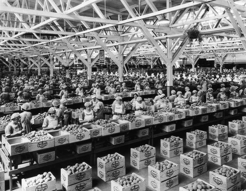 The Evolution of Canned Food and Drink In 38 Pictures