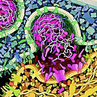 Stunning molecular biology illustrations look like floral abstract art