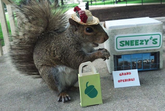 Penn State Junior Dresses Up, Whispers With Squirrel Named "Sneezy"