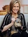 Meredith Viera, Oversharing Dog Crap Expert