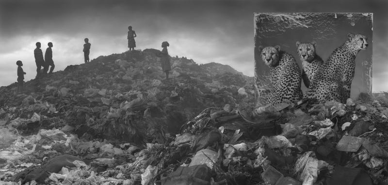 Harrowing Photographs Depict East Africa's Dystopian Future