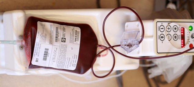 Inside the Science of Sharing Rare Blood