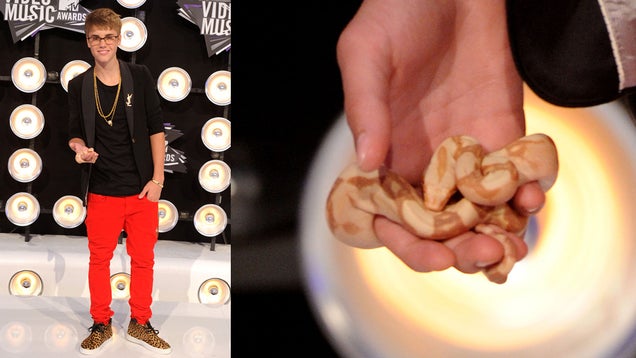 The Red Carpet Reeks Of Lady Gaga's Influence