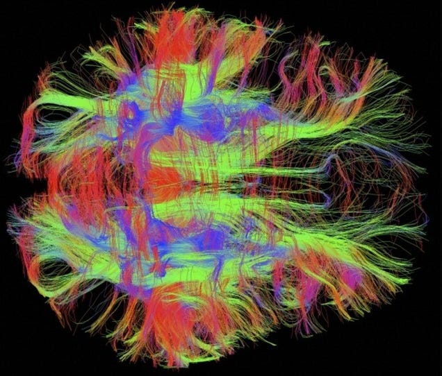 The Strange Stories Behind the Year's Best Scientific Images