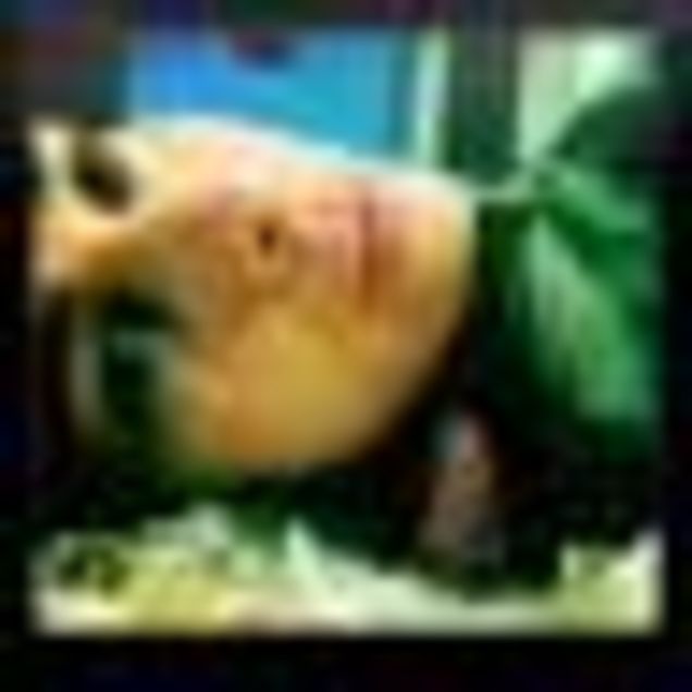 Stephen Fry Comes To Twitter's Defense