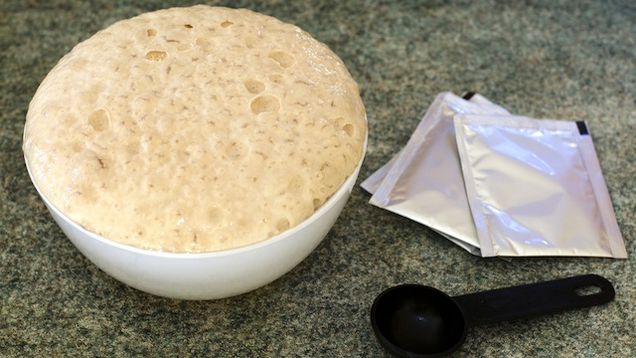 This DIY Bed Bug Trap Is Cheap Shows Signs Of An Infestation Early