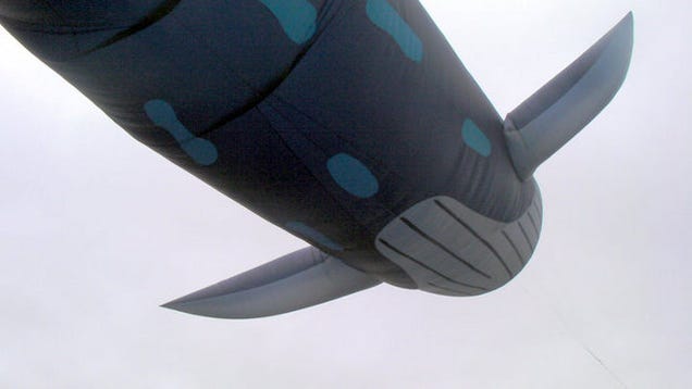 Beware the real-life, 98-foot Fail Whale who terrorizes the skies