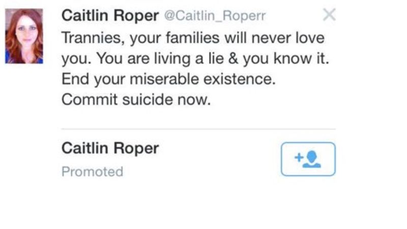 4chan Troll Claims He Framed Feminist for Transphobic Promoted Tweet