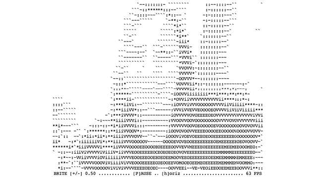 Your Webcam Feed in ASCII Is the Greatest Thing You'll See Today
