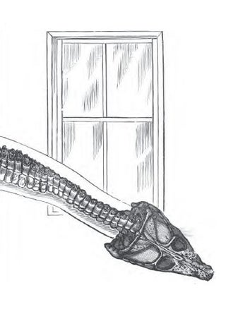 How the Democrats Tried to Destroy Dinosaur Art