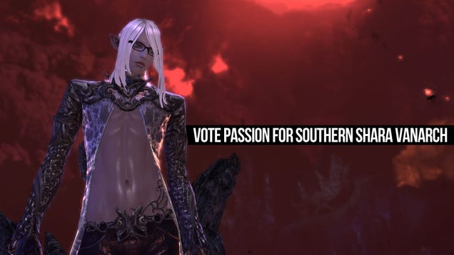 Tera MMO Log Part Four: The Political Process Begins
