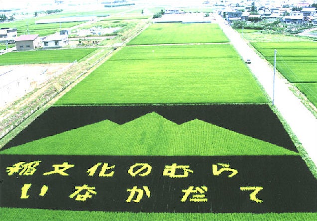 Behold These Incredible Artworks Grown from a Rice Field in Japan