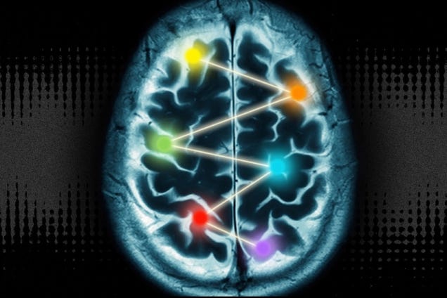The 10 Percent of the Brain Myth is Still Bullshit, Neuroscientists Say