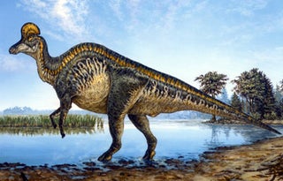 Crested Dinosaurs Had Brains Designed for Talking