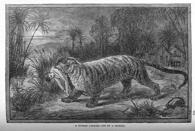 This gruesome 1889 biology book outlined the many ways animals will kill us