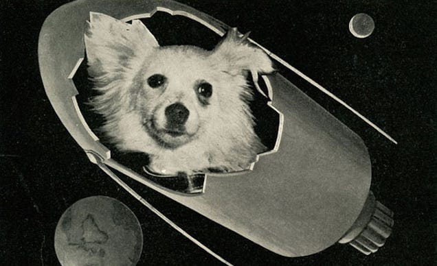 That Time Soviet Russia Sent Dogs Into Space