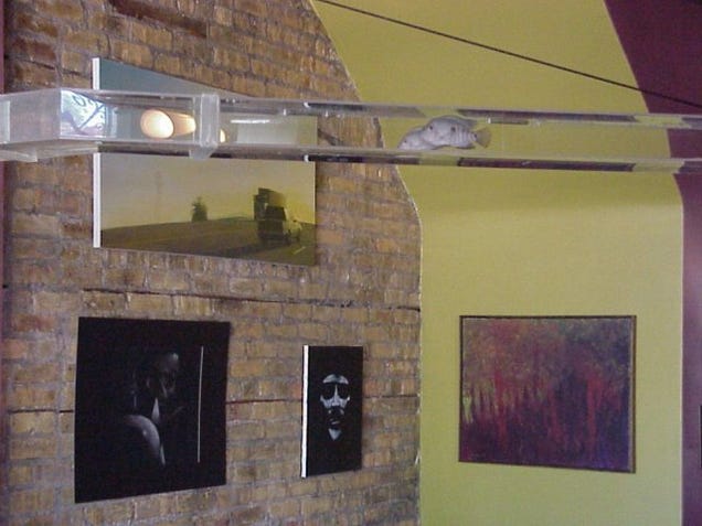 Fish Bridge Connects Two Aquariums; if Only Fish Were Smart Enough to Use it