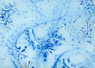 Entomologist creates one-of-kind paintings using live bugs as his paintbrush