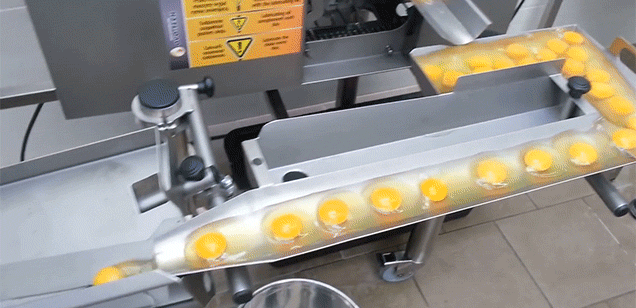 How a machine separates egg yolks from egg whites