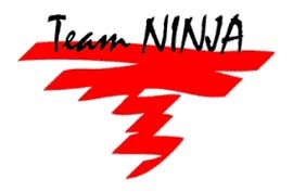 Settlement Reached for Team Ninja Overpaid Wages Lawsuit