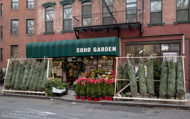 Christmas Trees Can Only Be Legally Sold on NYC Streets in December