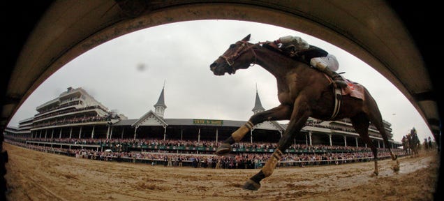 How to Fly a Prizewinning Racehorse to the Kentucky Derby